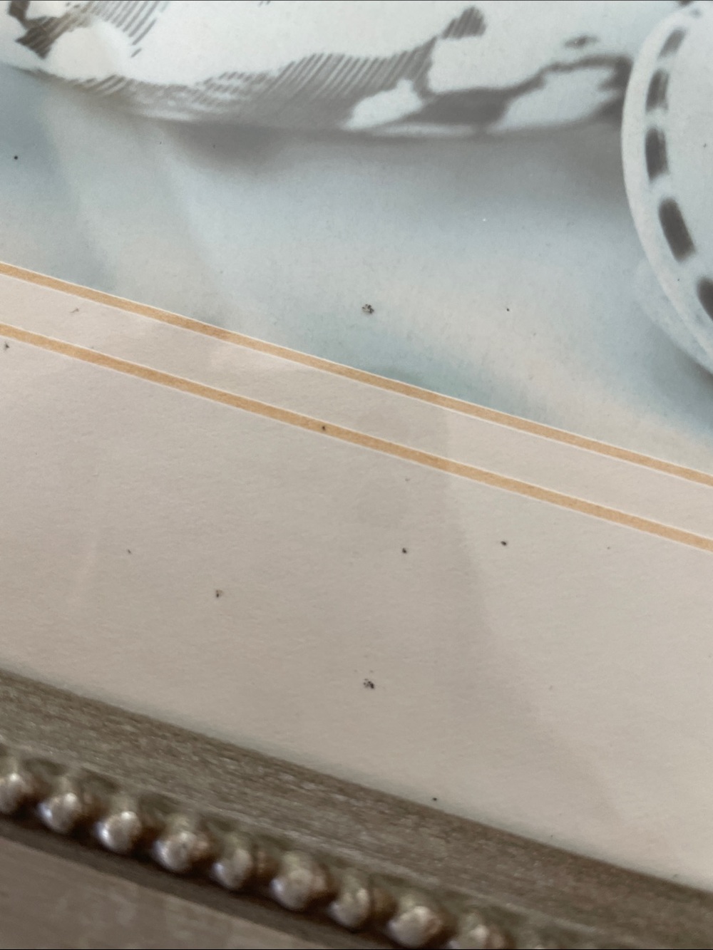 3-Piece Silver Picture Frames - Picture 6 of 7